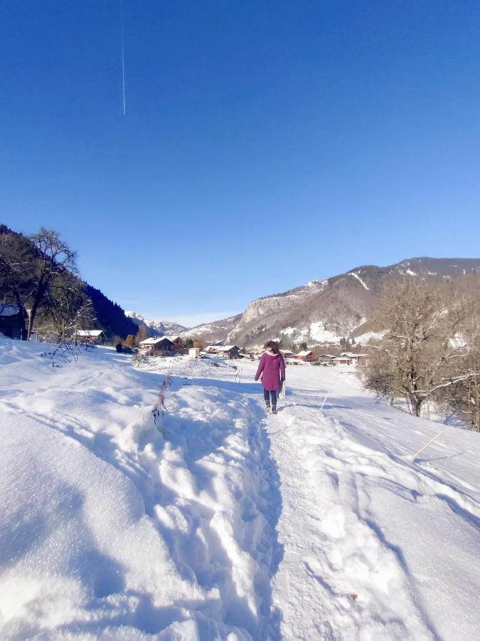 Appartement Cosy 3/4 Personnes A 5 Min Des Pistes. Saint-Jean-dʼAulps Zewnętrze zdjęcie